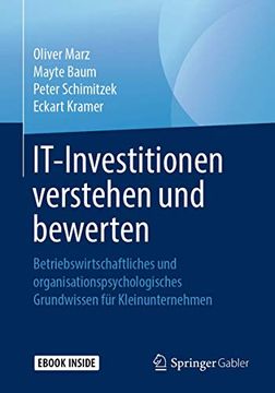 portada It-Investitionen Verstehen und Bewerten: Betriebswirtschaftliches und Organisationspsychologisches Grundwissen für Kleinunternehmen