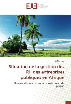 portada Situation de la gestion des RH des entreprises publiques en Afrique: Utilisation des valeurs comme instrument de gestion