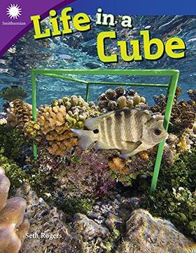 portada Life in a Cube (Grade 5) (Smithsonian Readers) (en Inglés)