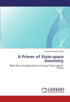 portada A Primer of State-space Geometry: Black Brane Configurations in String Theory and M-Theory