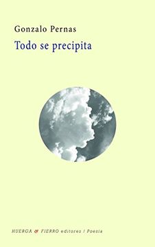 portada TODO SE PRECIPITA (in Spanish)