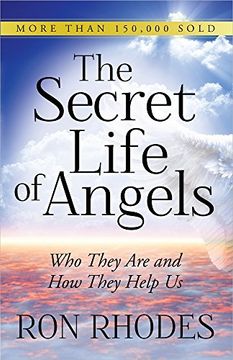portada The Secret Life of Angels: Who They are and how They Help us 
