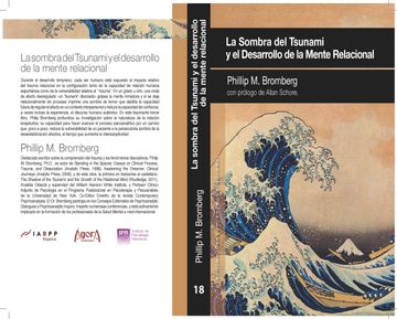 portada La Sombra del Tsunami y el Desarrollo de la Mente Relacional (in Spanish)