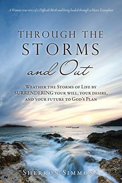portada Through the Storms and out (en Inglés)