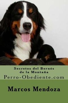 portada Secretos del Bernes de la Montaña: Perro-Obediente. Com (in Spanish)