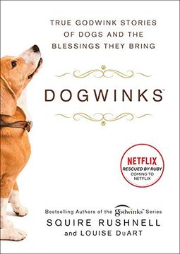 portada Dogwinks, Volume 6: True Godwink Stories of Dogs and the Blessings They Bring (The Godwink Series) 
