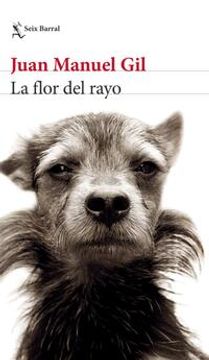 portada La Flor del Rayo (in Spanish)