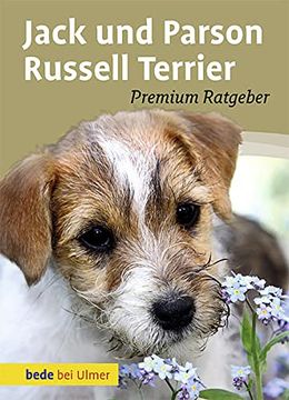 portada Jack und Parson Russell Terrier (en Alemán)