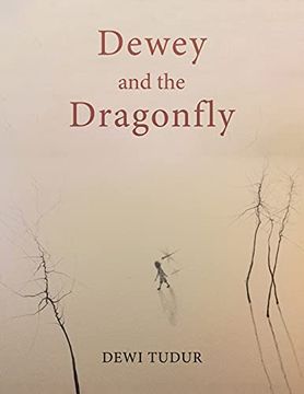 portada Dewey and the Dragonfly 