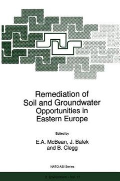 portada remediation of soil and groundwater: opportunities in eastern europe (en Inglés)