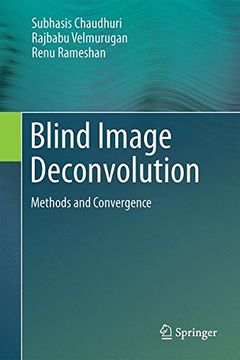 portada Blind Image Deconvolution: Methods and Convergence 