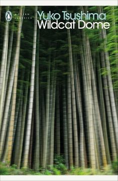 portada Wildcat Dome (en Inglés)
