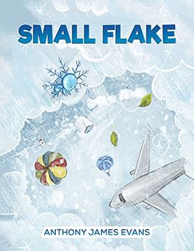 portada Small Flake (en Inglés)