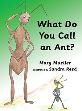 portada What Do You Call an Ant?