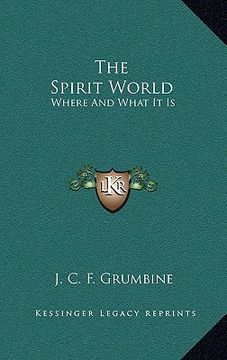 portada the spirit world: where and what it is
