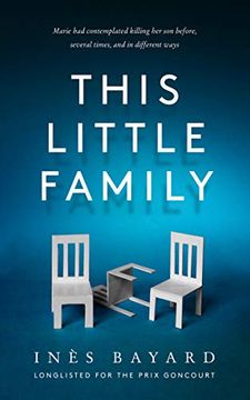 portada This Little Family: The Most Gripping, Shocking, Dark, Thought-Provoking Feminist Fiction for 2021 