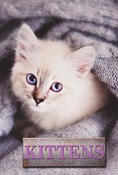 portada Kittens (Pet Library) (en Inglés)