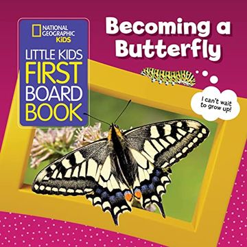 portada Little Kids First Board Book: Becoming a Butterfly (en Inglés)