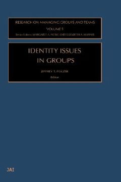 portada identity issues in groups (en Inglés)
