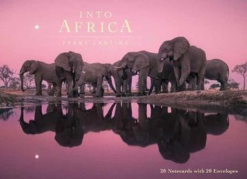 portada Into Africa: Blank Boxed Notecards (en Inglés)