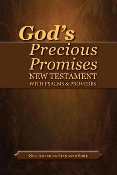 portada god`s precious promises (en Inglés)
