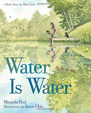portada Water Is Water: A Book About The Water Cycle (in English)