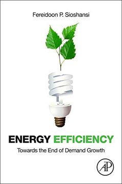 portada Energy Efficiency: Towards the end of Demand Growth (en Inglés)
