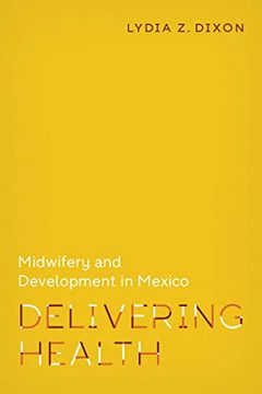 portada Delivering Health: Midwifery and Development in Mexico: 2 (Policy to Practice) (in English)