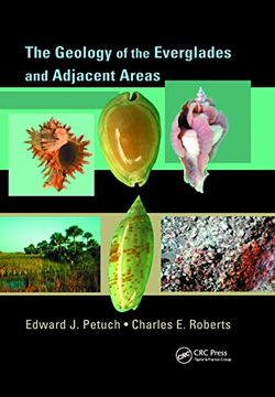 portada The Geology of the Everglades and Adjacent Areas (en Inglés)