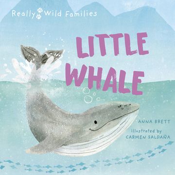 portada Little Whale: A Day in the Life of a Little Whale (en Inglés)