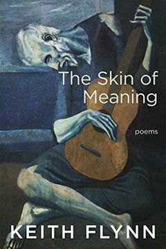 portada The Skin of Meaning (en Inglés)