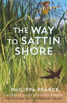 portada The way to Sattin Shore (in English)