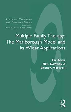 portada Multiple Family Therapy: The Marlborough Model and its Wider Applications (The Systemic Thinking and Practice Series) (in English)