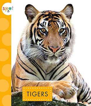 portada Tigers (en Inglés)