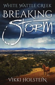 portada Breaking Storm (en Inglés)