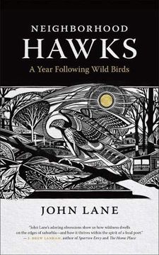 portada Neighborhood Hawks: A Year Following Wild Birds (en Inglés)