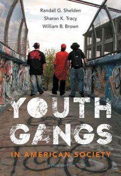 portada Youth Gangs in American Society