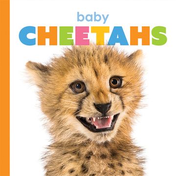 portada Baby Cheetahs (en Inglés)