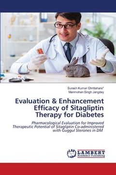 portada Evaluation & Enhancement Efficacy of Sitagliptin Therapy for Diabetes (en Inglés)