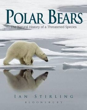 portada polar bears