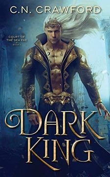 portada Dark King: 1 (Court of the sea fae Trilogy) (in English)
