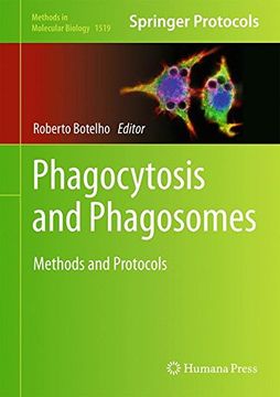 portada Phagocytosis and Phagosomes: Methods and Protocols (Methods in Molecular Biology) (in English)