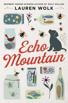 portada Echo Mountain (en Inglés)