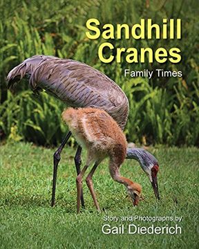 portada Sandhill Cranes, Family Times