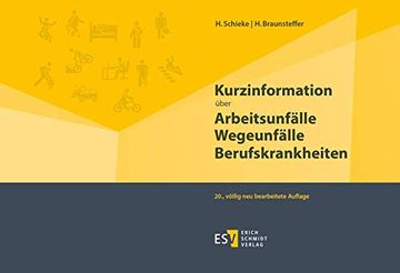 portada Kurzinformation Über Arbeitsunfälle Wegeunfälle Berufskrankheiten (in German)