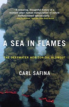 portada A sea in Flames: The Deepwater Horizon oil Blowout (en Inglés)