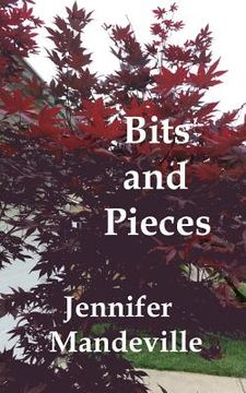 portada Bits and Pieces: A Young Girl's Musings (en Inglés)