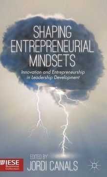 portada Shaping Entrepreneurial Mindsets: Innovation and Entrepreneurship in Leadership Development (en Inglés)