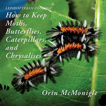 portada Lepidopteran Zoology: How to Keep Moths, Butterflies, Caterpillars, and Chrysalises (in English)
