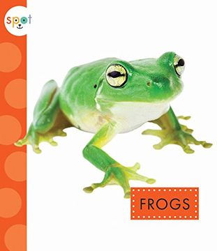 portada Frogs (Spot Backyard Animals)